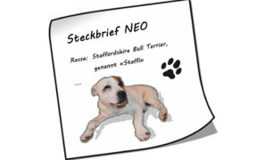 Neo_Steckbrief_Format_01