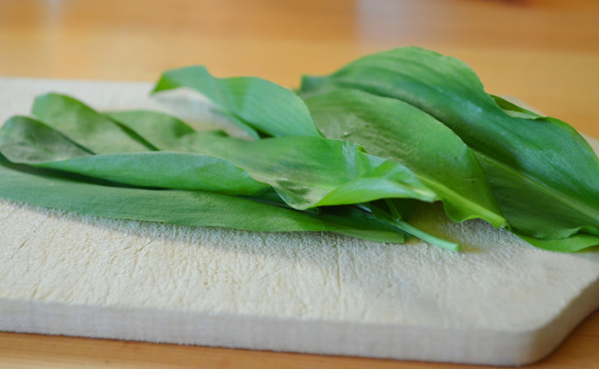 Bärlauch! – einfach wunderbar Bärlauch! – einfach wunderbar