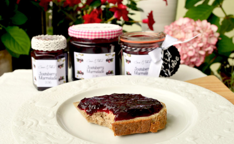 Marmelade Aus Jostabeeren